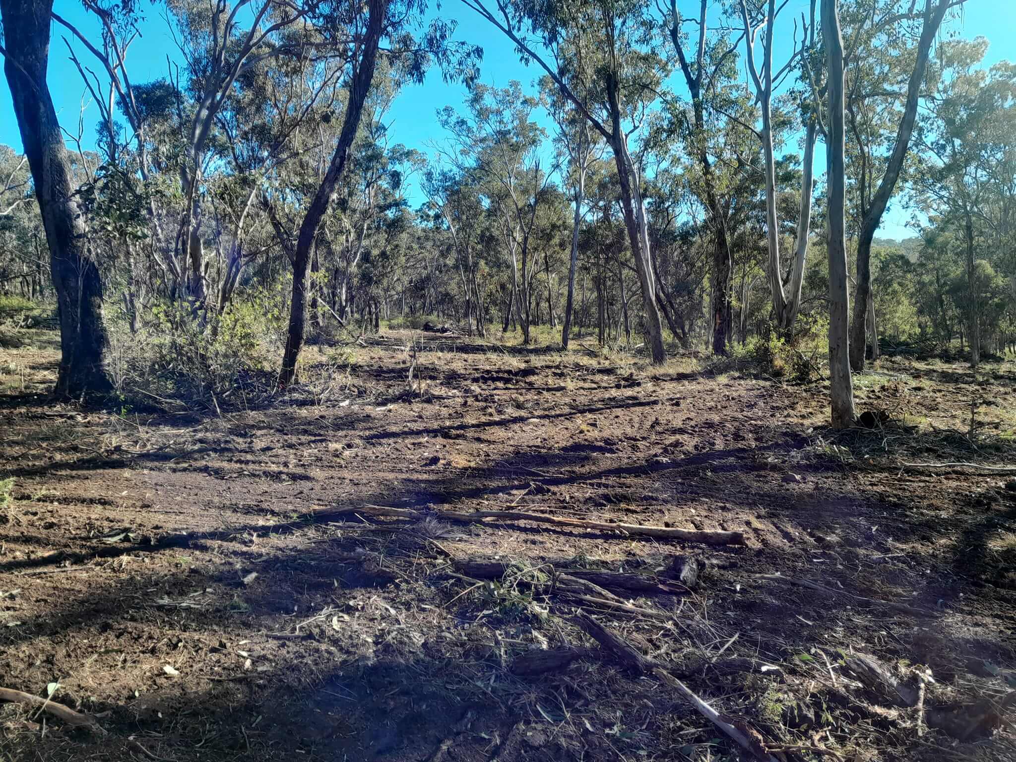 Clearing Farm Land in Toowoomba